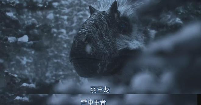 网飞史诗级巨作,每一帧都在烧钱!!