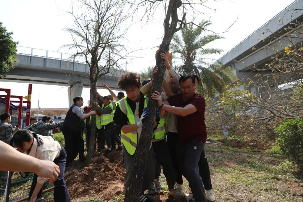 广州市白云区鹤龙街启动“百千万工程”植树行动 植绿兴城绘就高质量发展新画卷