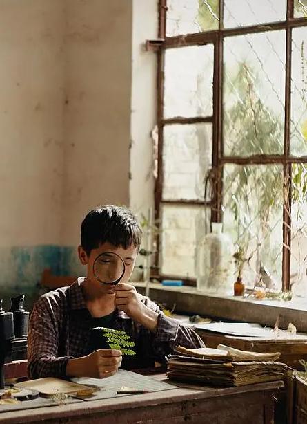 《植物学家》:以光影为标本,封存旷野里的成长与孤独