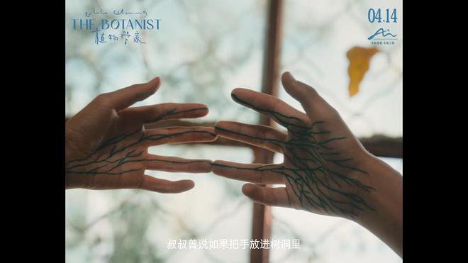 《植物学家》:以光影为标本,封存旷野里的成长与孤独