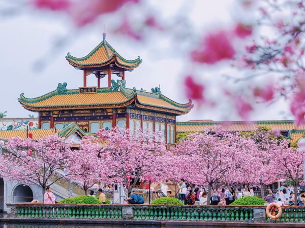 清明打卡广州，掀起青少年踏青热潮