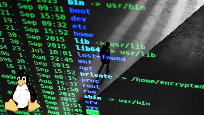Linux定了！AI生成代码能用，责任这么算