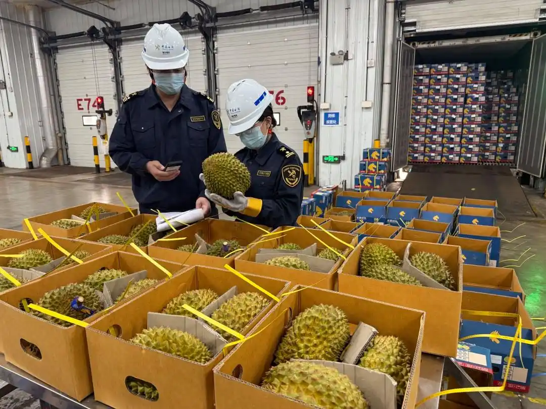 广州海关出台33条跨境贸易便利化专项行动细化措施