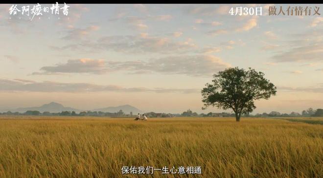 人人都说是近年国产片最佳,此言不虚
