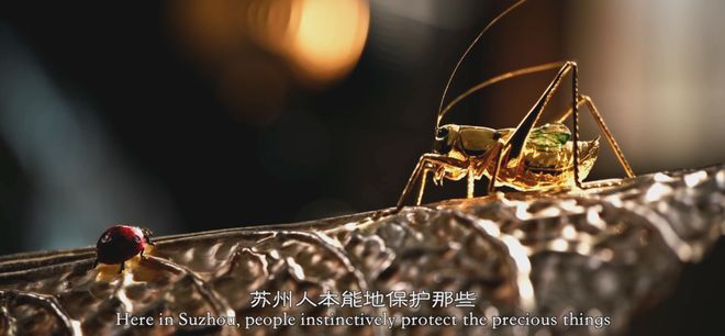 《我在苏州学非遗》:“匠人班底”打造的“匠人电影”