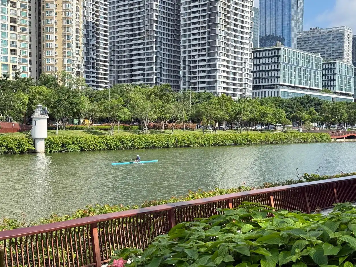 激活全域空间 解锁深圳方寸之间的发展密码