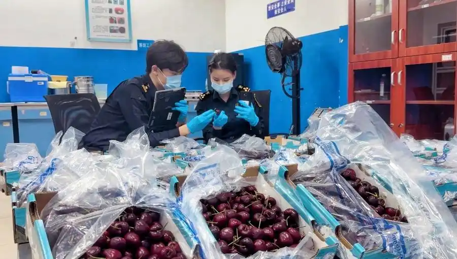 广州海关：今年前5个月经南沙口岸进口水果超17万吨，同比增5.9%