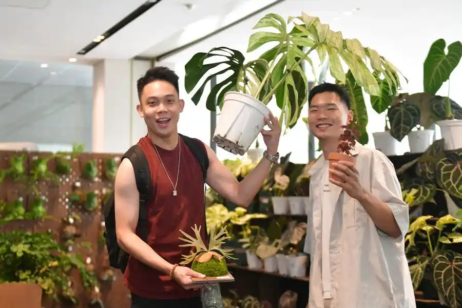 “广货行天下”再添绿意新篇章，广州花卉产销对接活动启幕